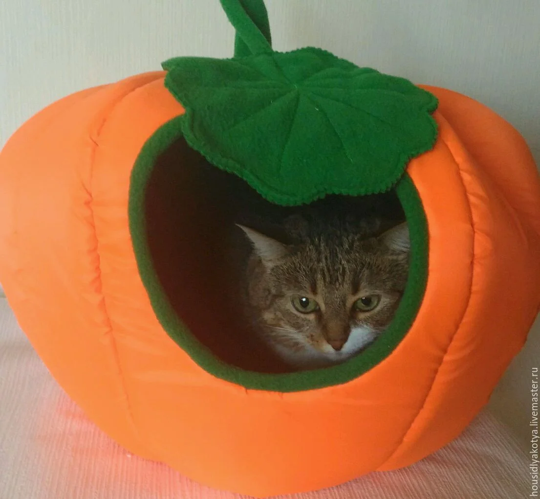 b06049d64558b0db34e967141f73--dlya-domashnih-zhivotnyh-domik-dlya-koshki-tykva.webp