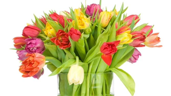 b074adf5f2c33eb9ddb8453ea9459.webp
