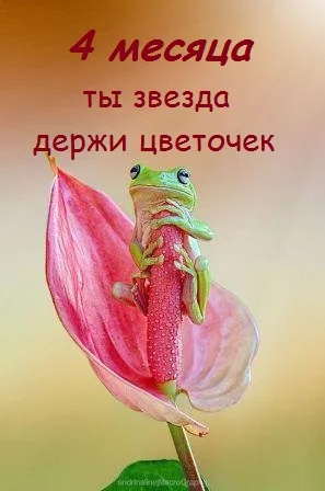 b1a5a51488f79a06e22a4cca0cdf4055 - копия.webp