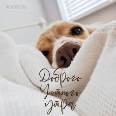 B28D2DAA-D561-4A04-AE3B-E1F01423D2C0.jpeg