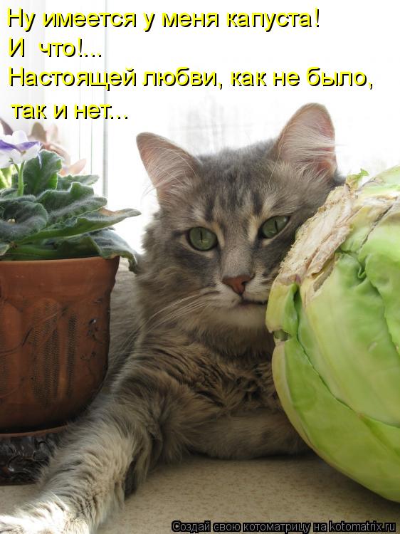 B3B76835-7BFF-40C6-A4BF-A356F30D4440.jpeg