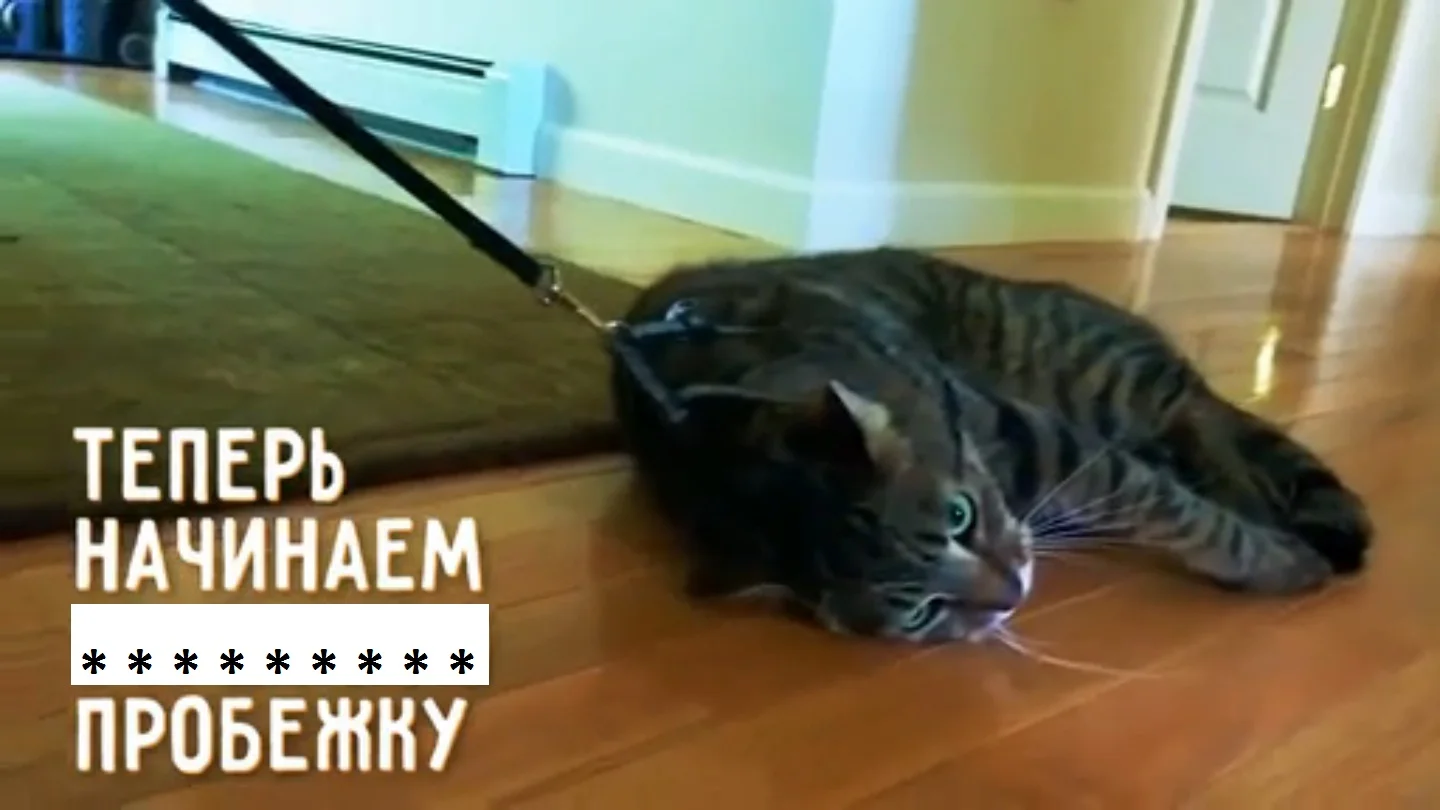 b6a5d37e3939c137480acb639b1bc978 1.webp