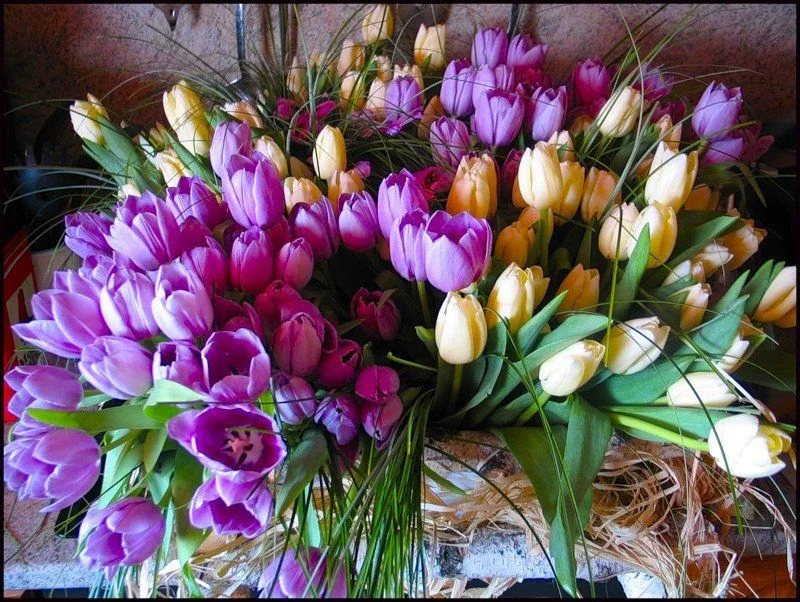 b6c8e22438e0.webp
