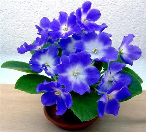 b8344649.webp
