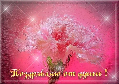 b85d82d588c9e26d0632e6fc8bc4258b.webp