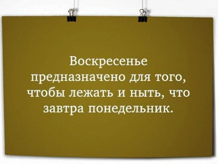 b982438eeffbc78936c1-1.jpg
