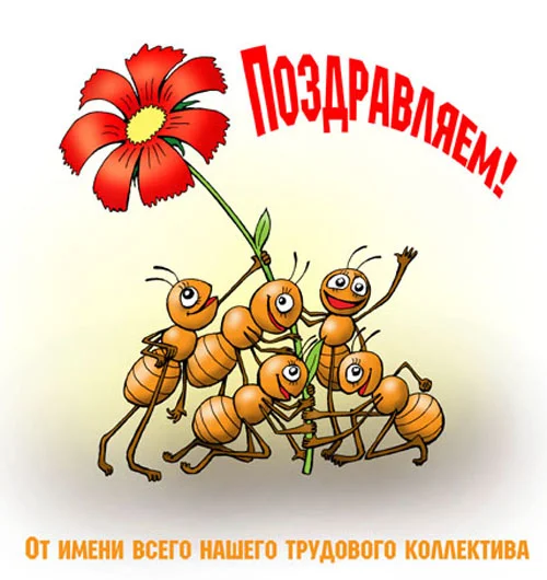 ba0d648cb21a.webp
