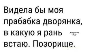 бабка дворянка.webp