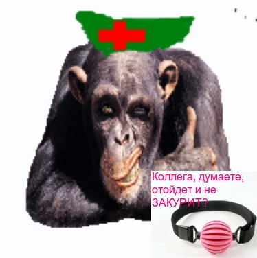 Бабуин.webp