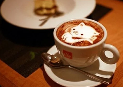 baby cat design with coffee.webp