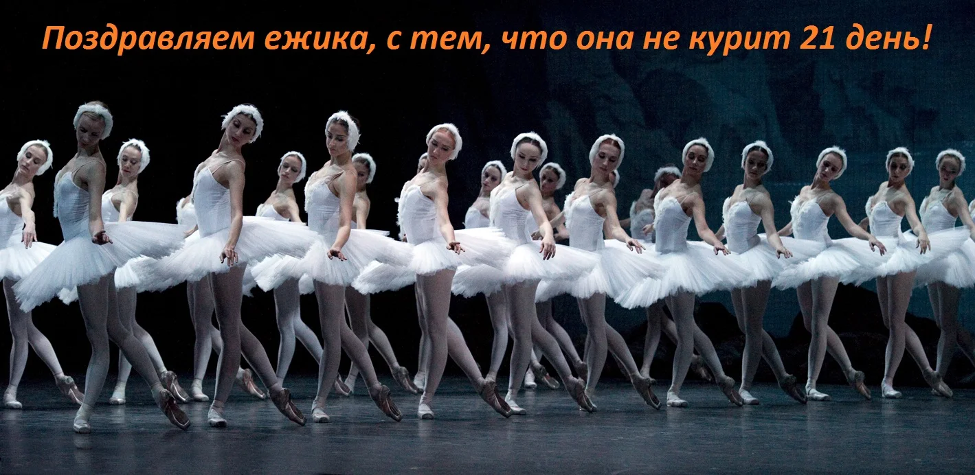 ballet-008.webp
