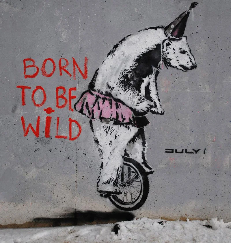 Banksy.webp