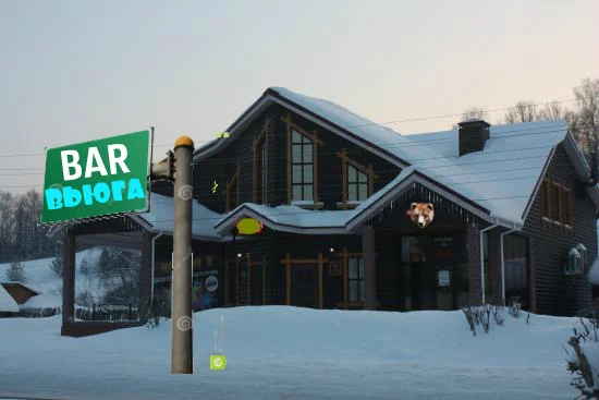 БАР ВЬЮГА.webp
