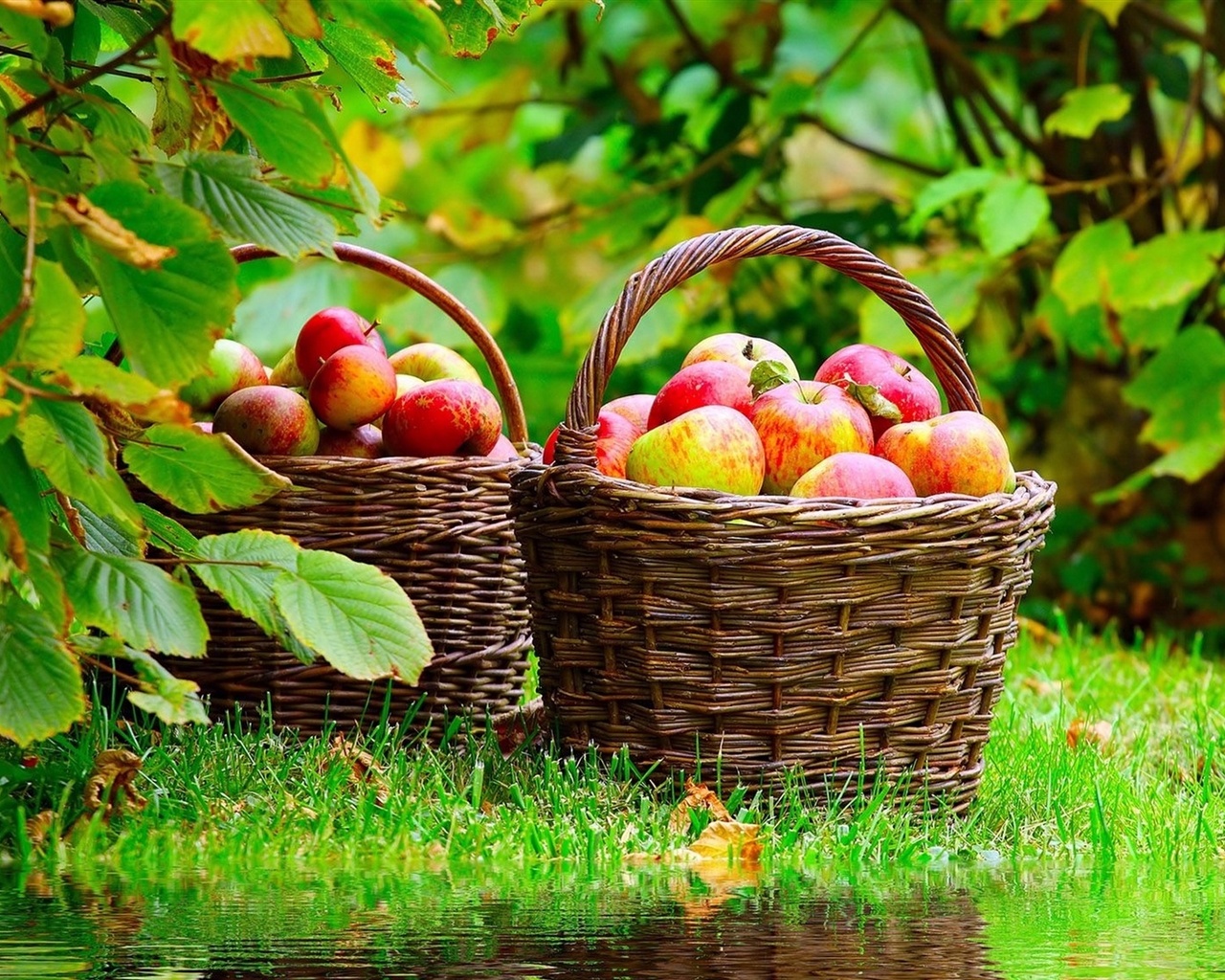 Basket-with-apples_1280x1024.jpg