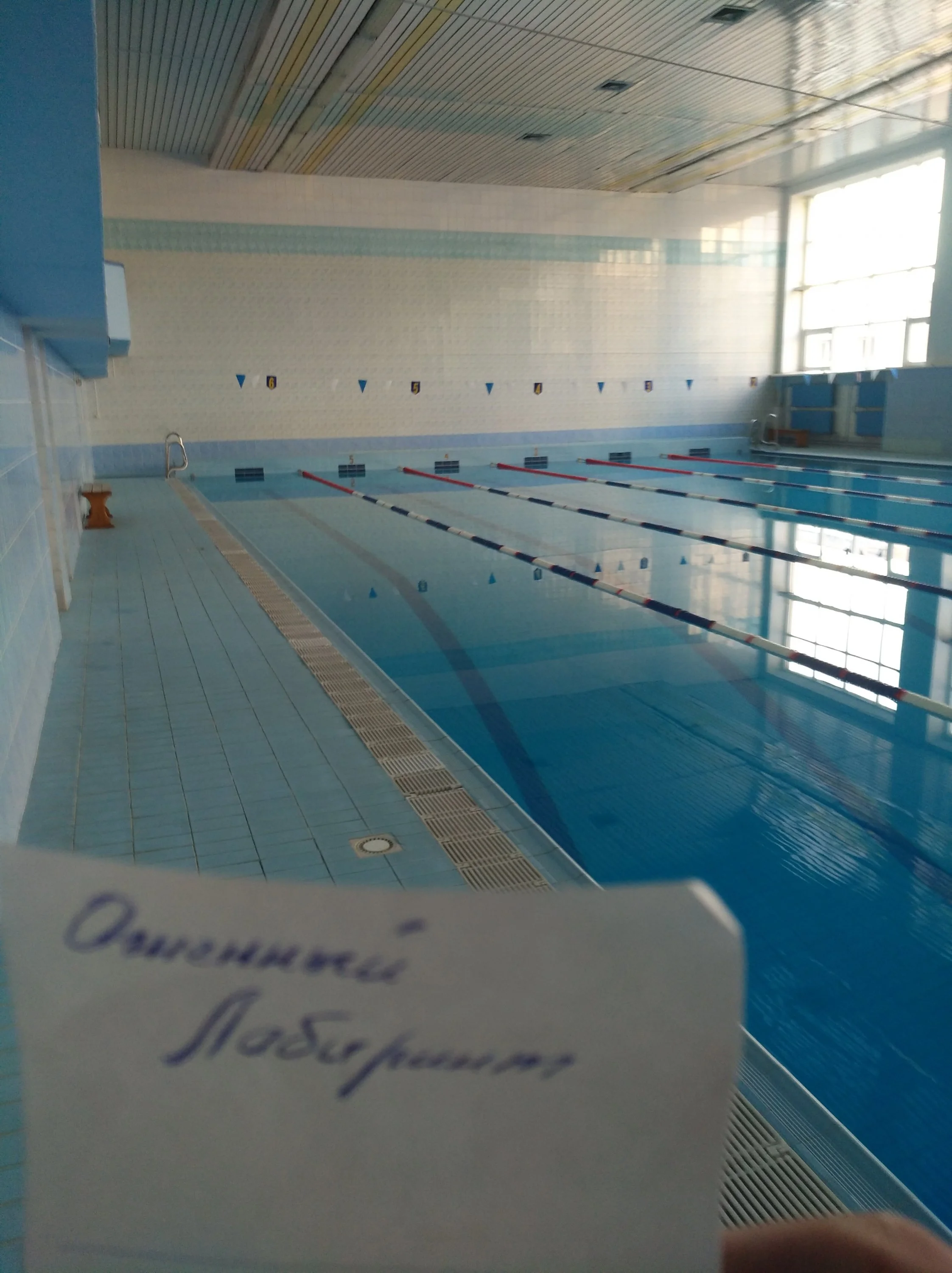 Бассейн 1.webp