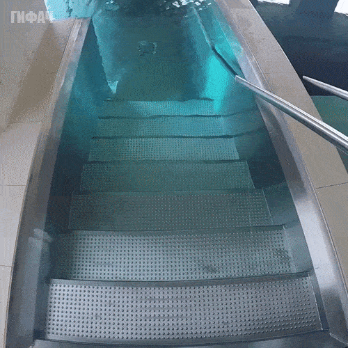 бассейн.gif