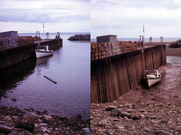 Bay_of_Fundy.jpg