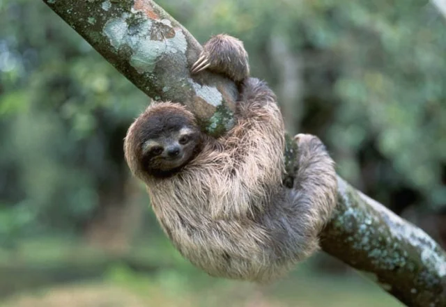 bbb5862976e1e4d779e745980d758d6d (1).webp