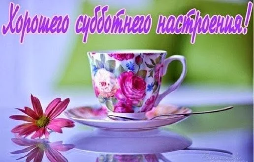 bc6dfc824a80b1bde55ce67ccdfd08ab.webp
