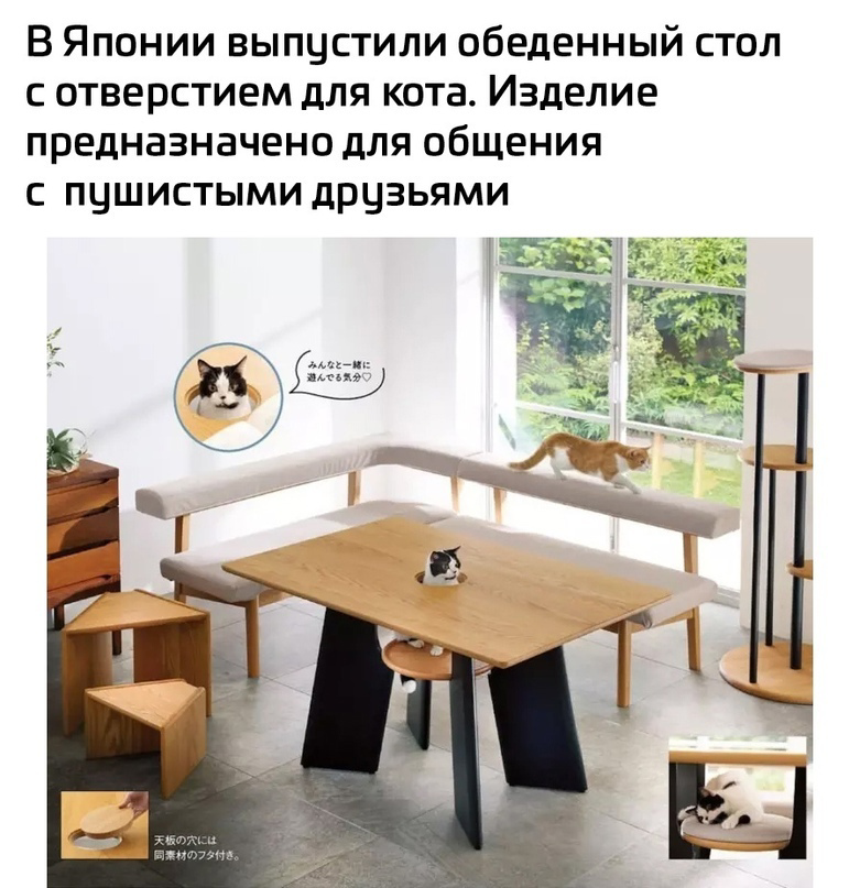 BCAD004C-8C20-4C80-AA5C-52806602F5F6.png