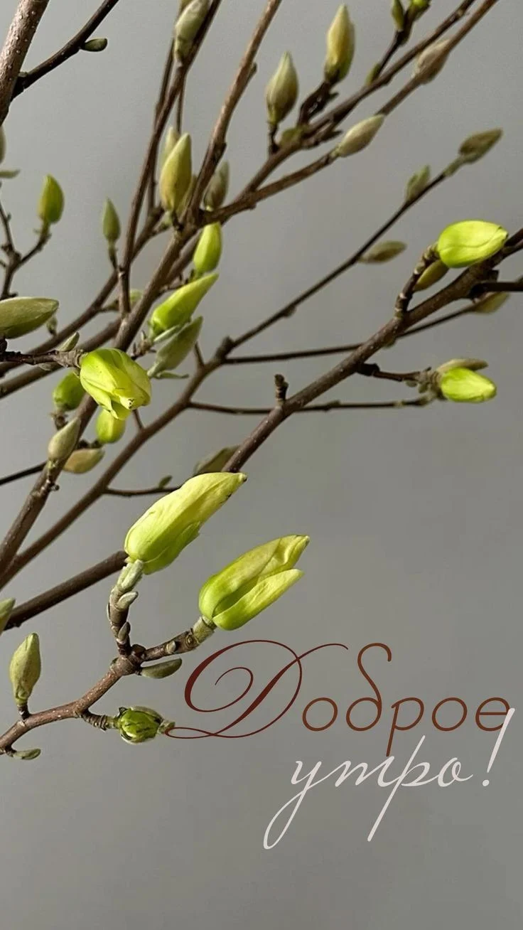 bcf06c8bd16da1a2afc15f64993327c7 (1).webp