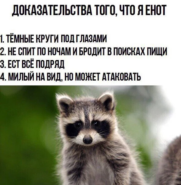 bCZdHZl8R98.webp