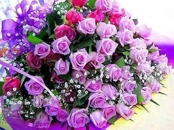 bD31pbIe5Do.webp