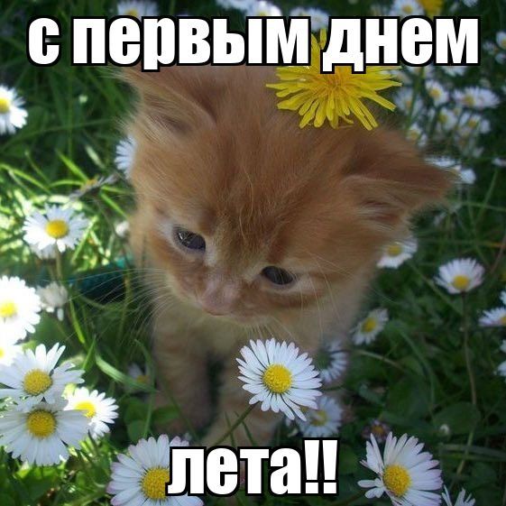 be0413584aeeef2ef198d081bbc1bc3c.jpg