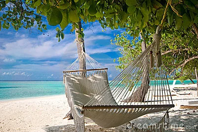 beach-hammock-9184615.webp