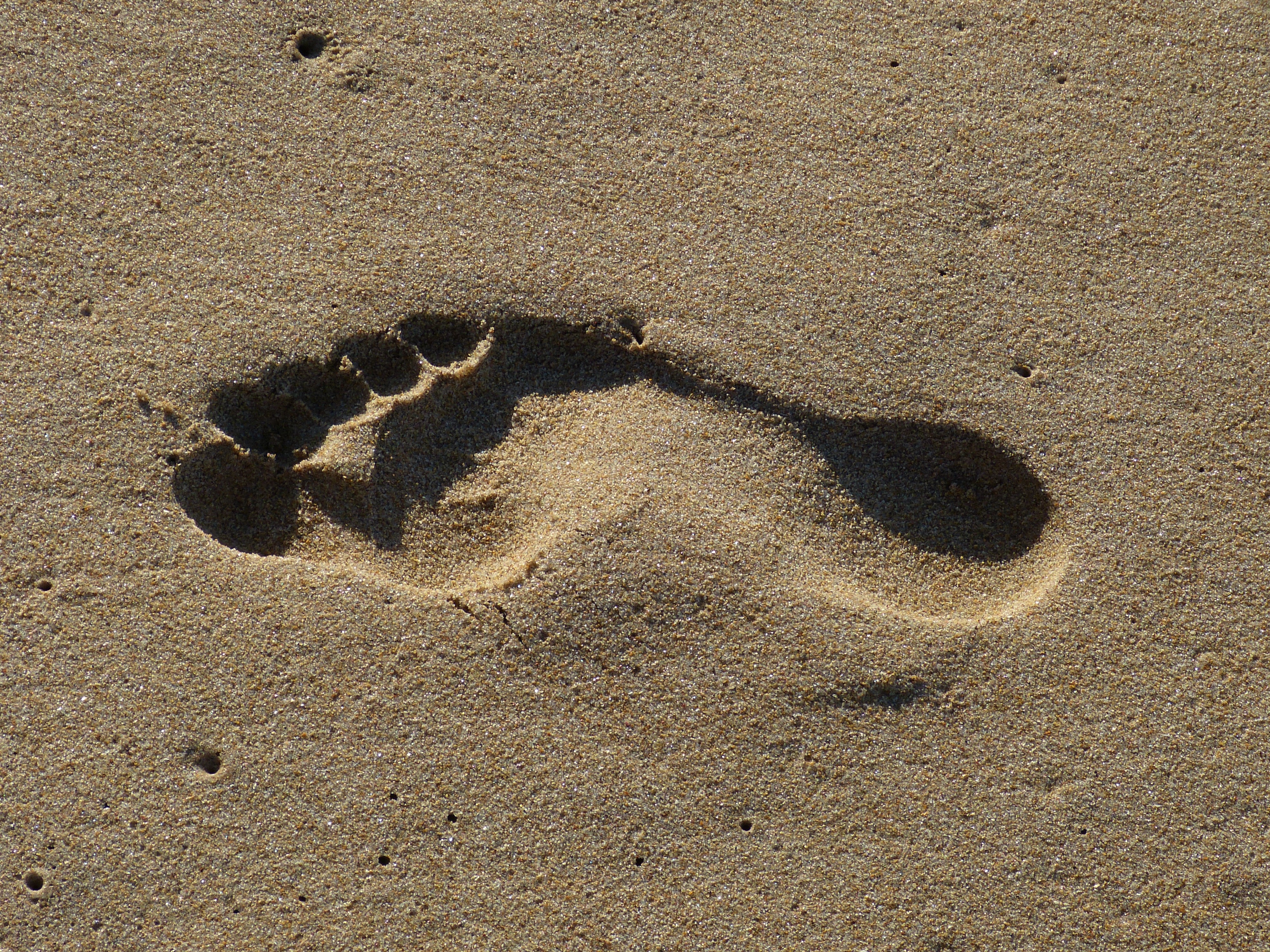 beach-sand-rock-footprint-foot-shadow-holiday-soil-reptile-material-barefoot-tracks-in-the-san...jpg