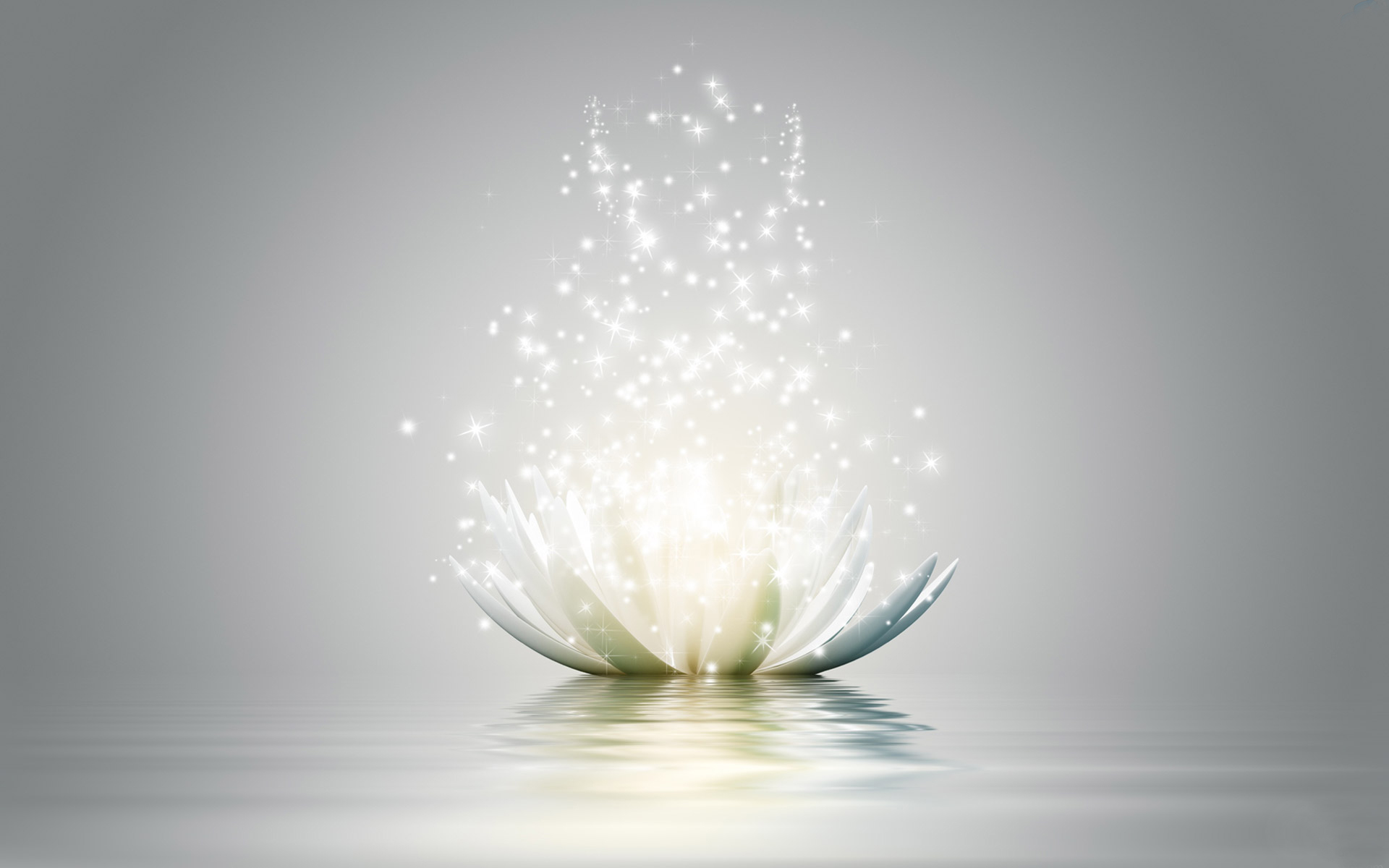 beautiful-3d-lotus-flower2.jpg