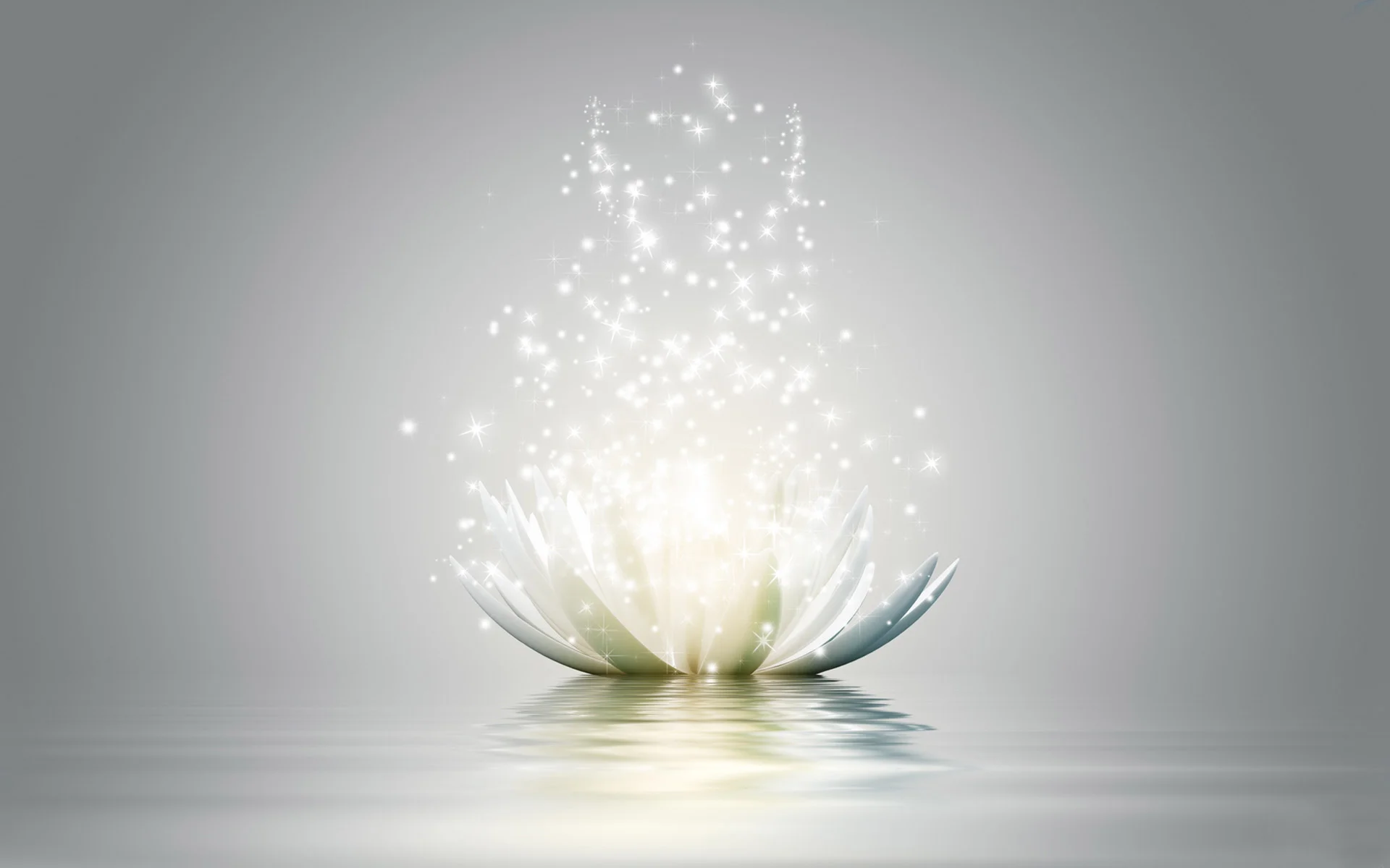 beautiful-3d-lotus-flower2.webp