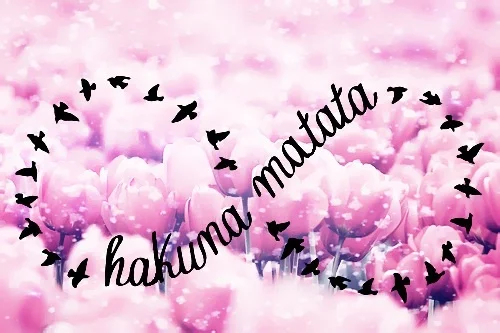 beautiful-birds-floral-hakuna-matata-Favim.com-1320467.webp