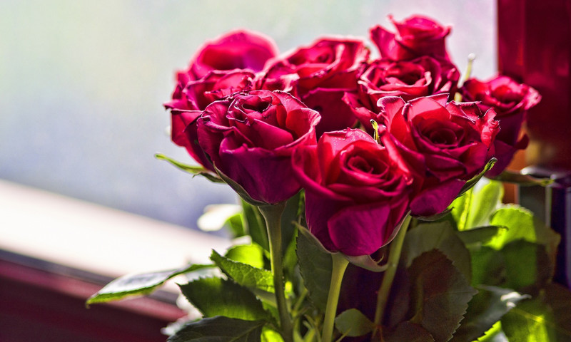 beautiful-bouquet-pink-roses_800x480.jpg