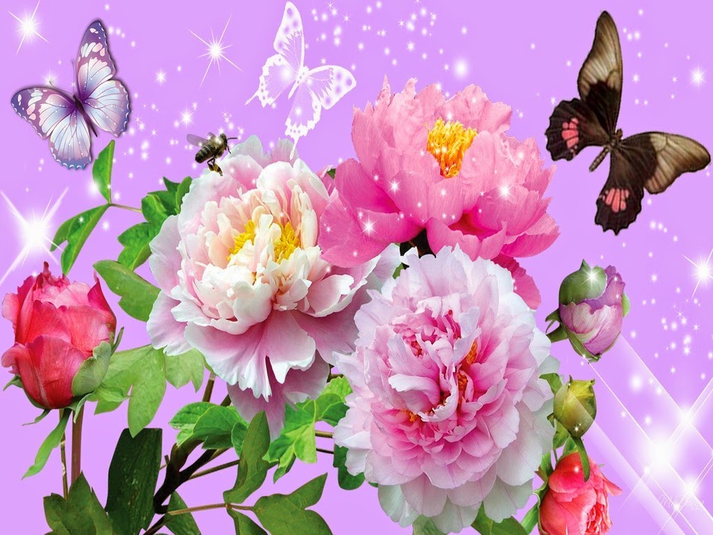 Beautiful-Flowers-With-Butterflies-Wallpapers-HD.jpeg