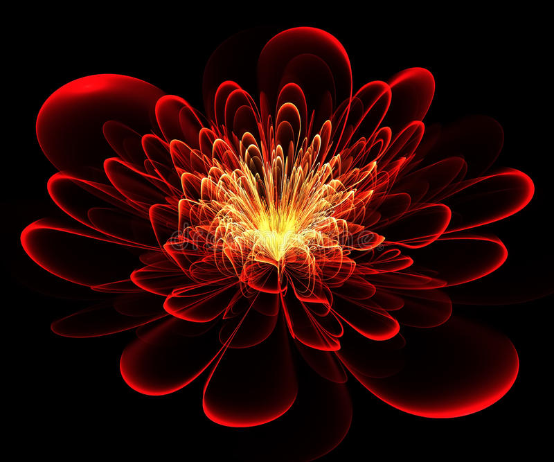 beautiful-red-flower-black-background-computer-generated-graphics-32586365.jpg