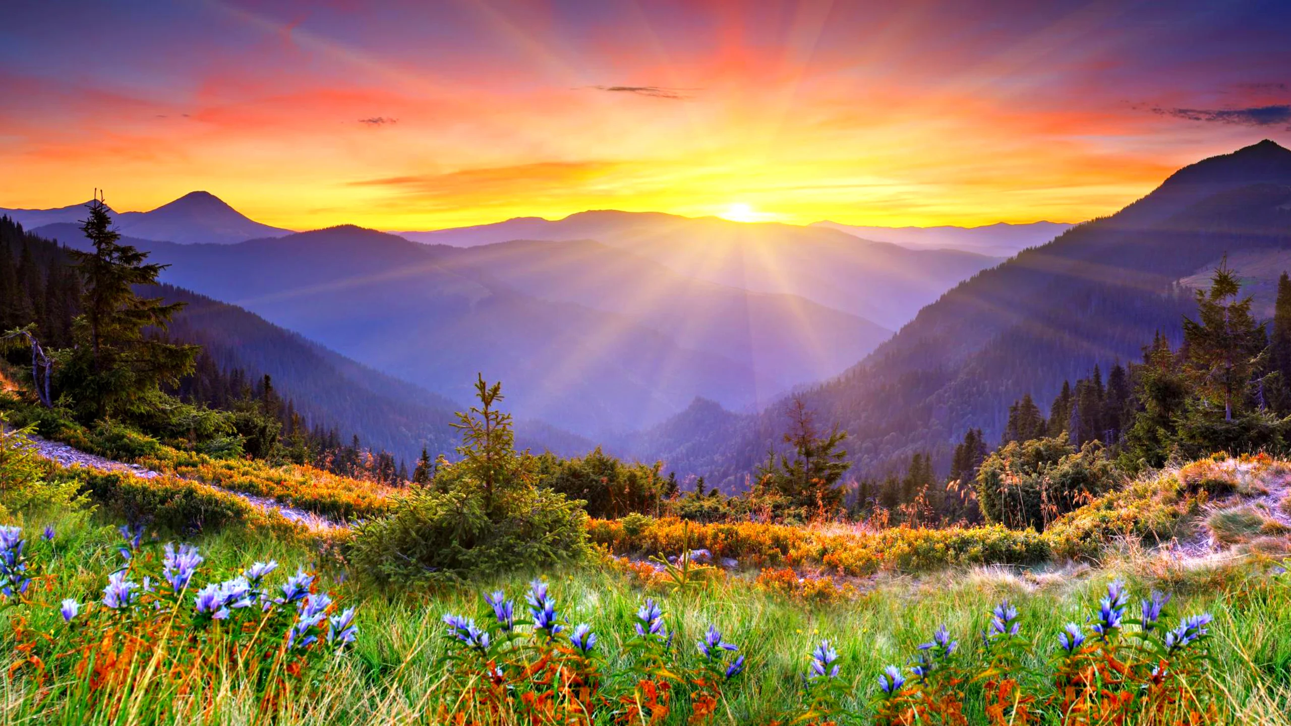 beautiful-sun-rise-1.webp