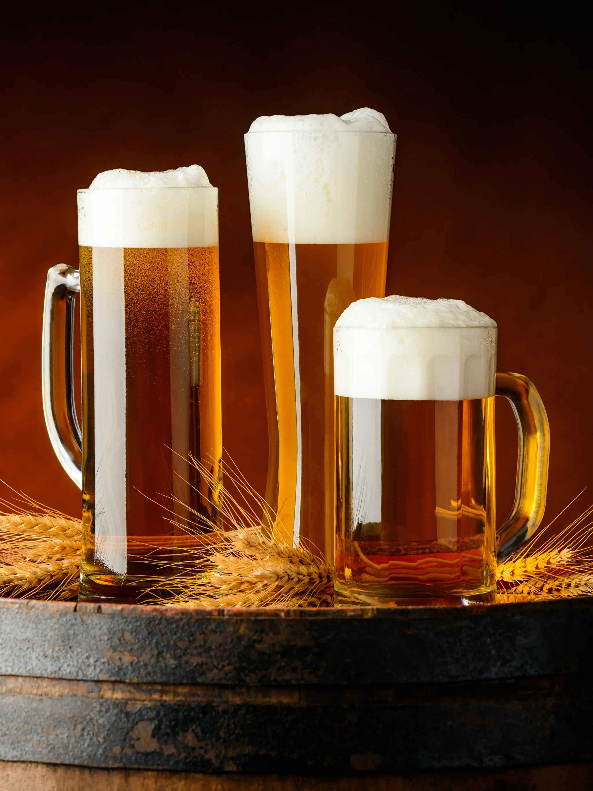 Beer_Barrel_Mug_Three_3_Foam_Ear_botany_521480_2048x2732.webp