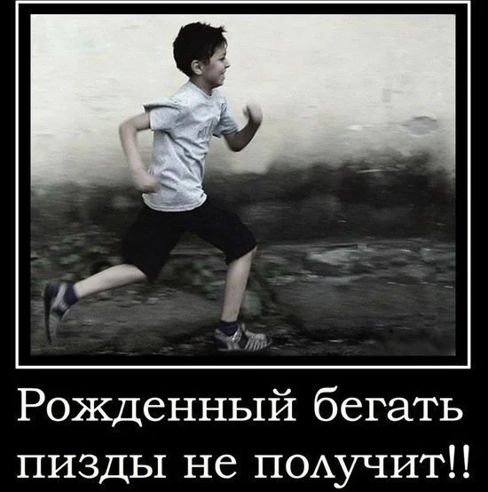 бег1.webp