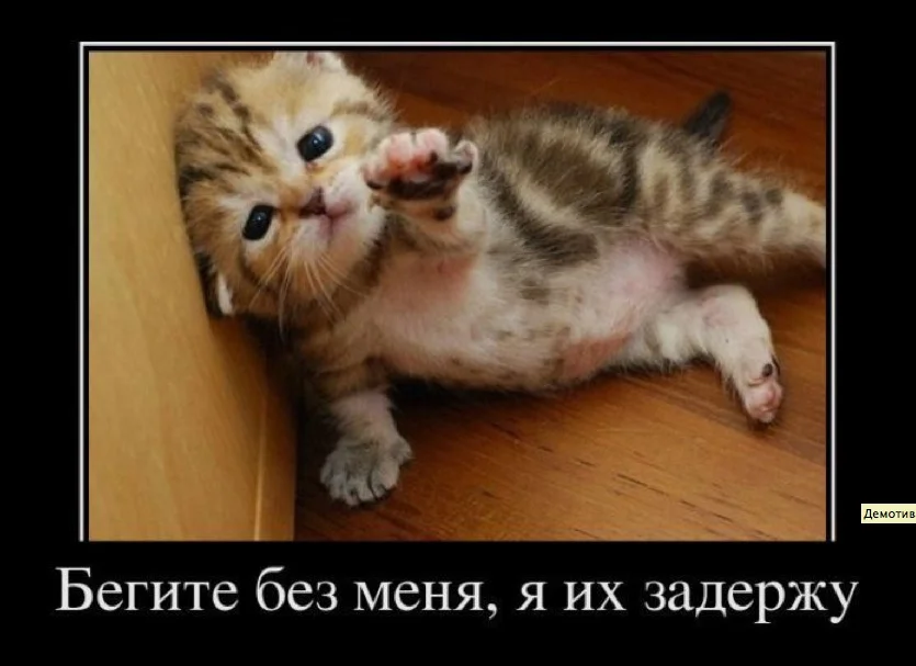 бег3.webp
