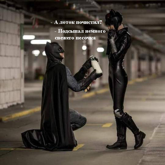 бэт.jpg