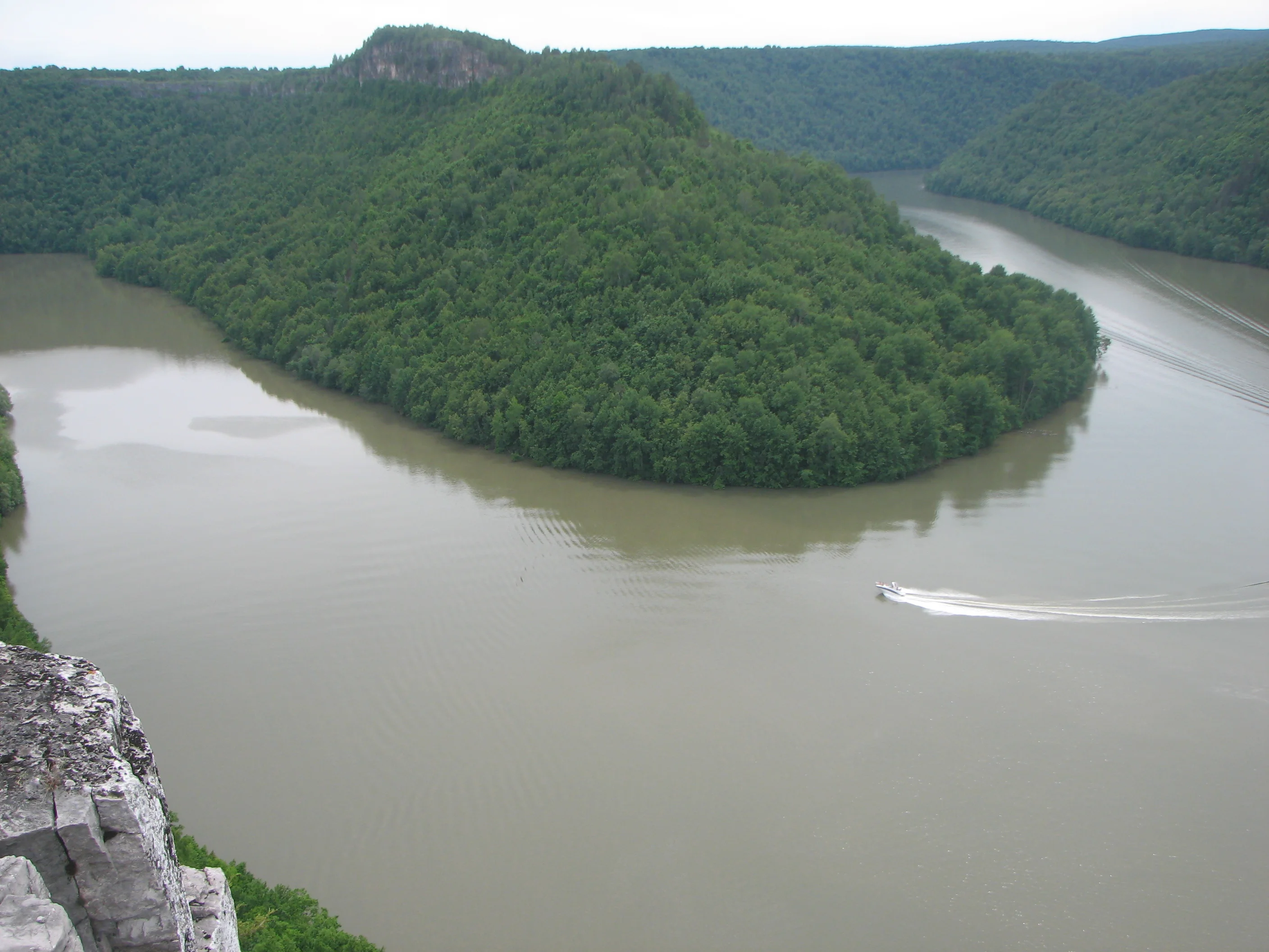 Белая река.webp