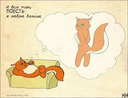 белка кушать.webp