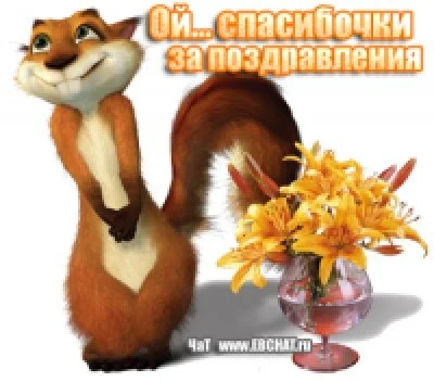 белка позравляка.webp