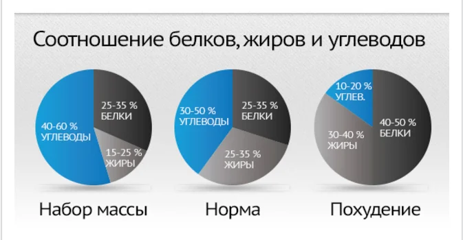 Белки_жиры_углеводы.webp
