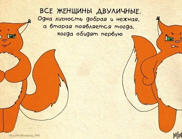 белочка Ши (7).webp