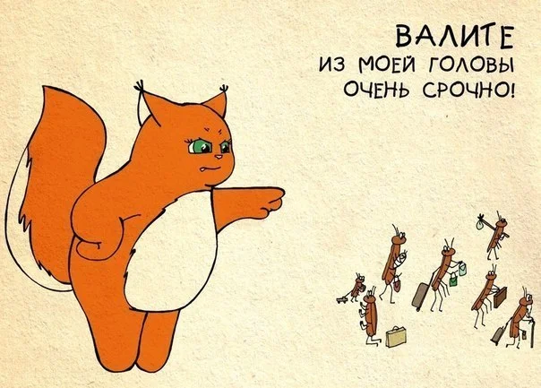 белочка Ши (8).webp