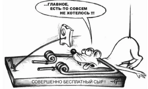 Бесплатный сыр2.webp