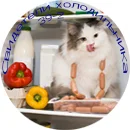 Без имени-03.webp