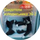Без имени-04.webp